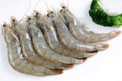 厄瓜多爾蝦2022需求仍然強勁，量價有望繼續(xù)增長！