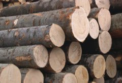 木材明顯的上漲趨勢,多重誘因疊加,2022年木材市場會(huì)好嗎？