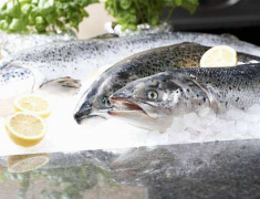 我國海產品2021的進口反彈12%至142億美元！