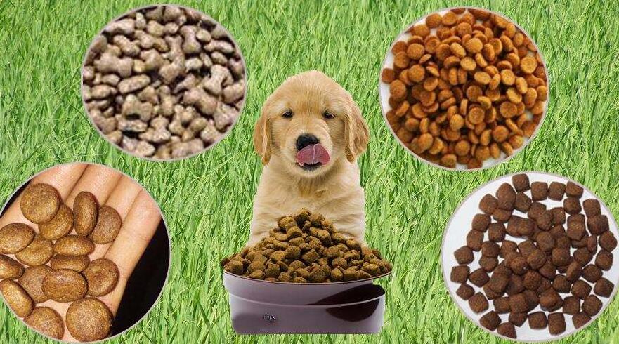 寵物食品進(jìn)口報關(guān)注意事項（寵物食品進(jìn)口分類）